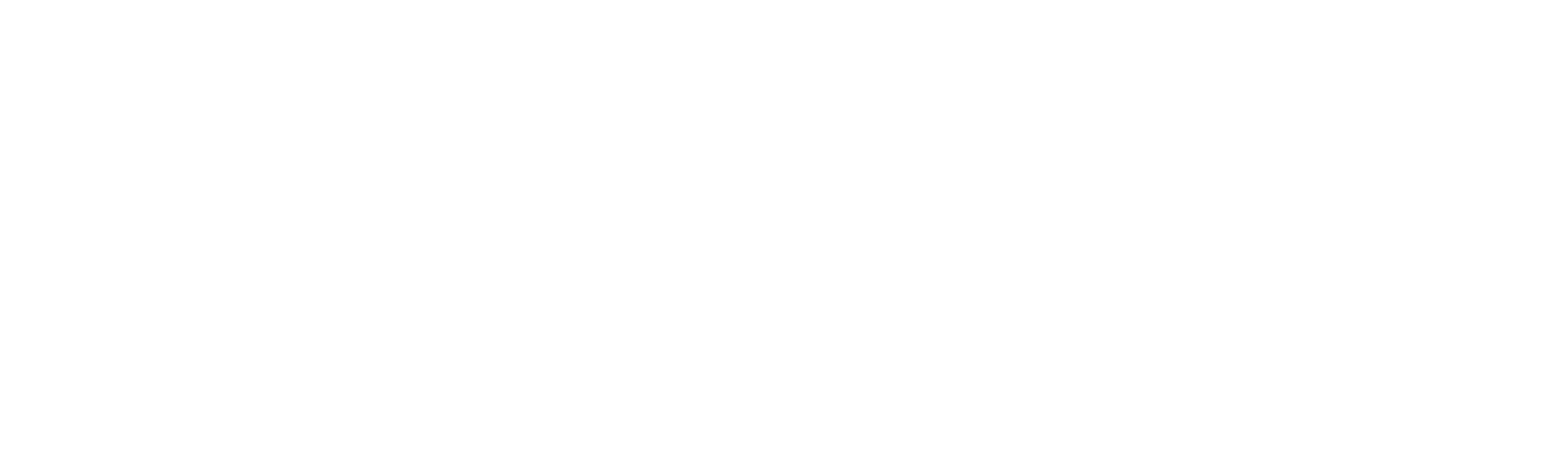 Goal Sport Software Timeline