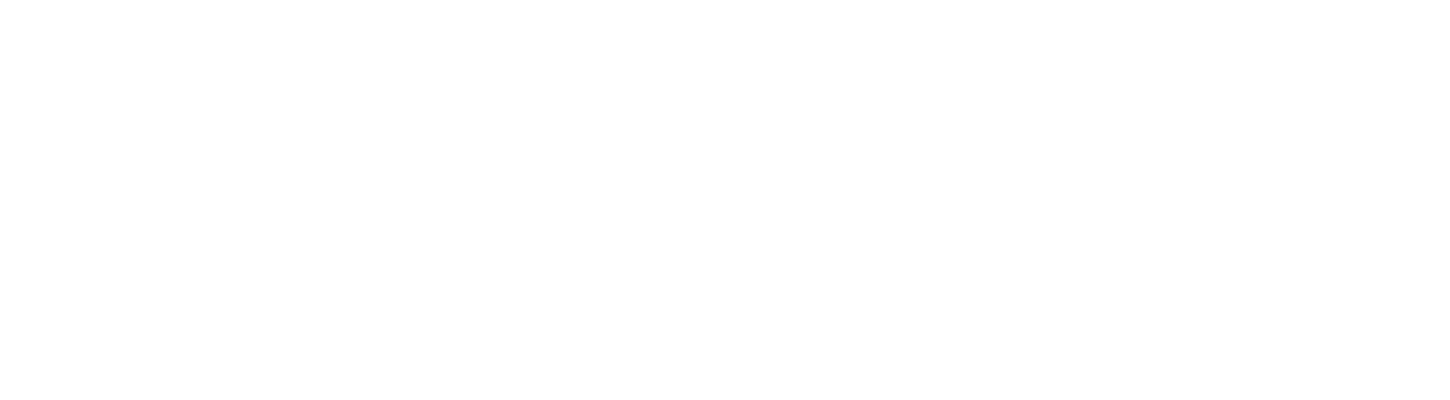 The timeline of Goal Sport Software