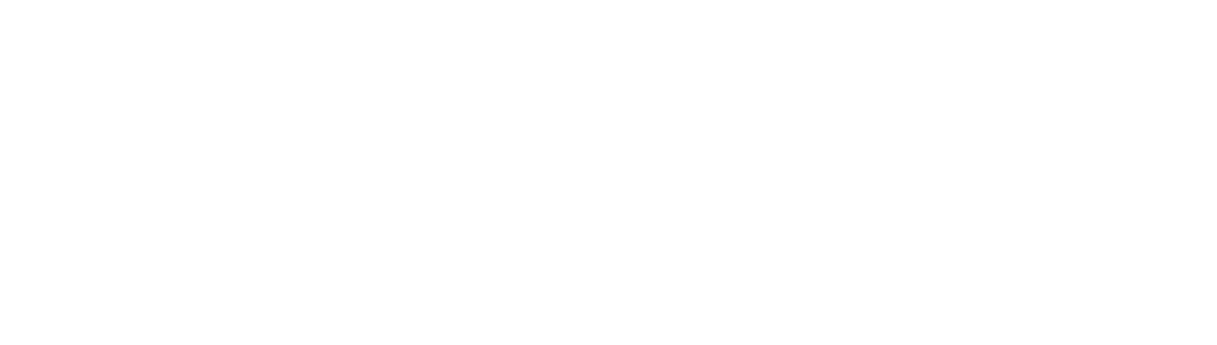 Goal Sport Software Timeline